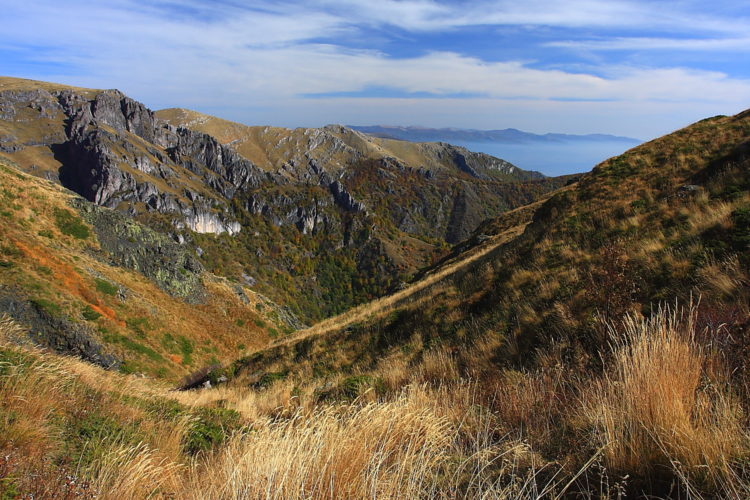 Полски окситропис, източна каменоломка и скална острица вече растат в “Централен Балкан”