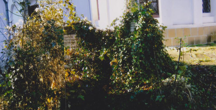 Родолюбец възкреси тънещи в забвение гробове на възрожденци