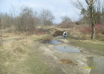 Софийска фирма ще проектира трасето за велоалеята