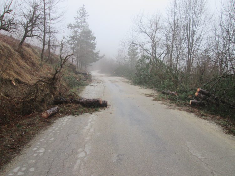 Ураган изкорени вековни дървета, отвя покриви на къщи в Балкана