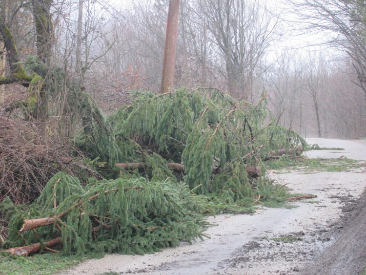 Ураган изкорени вековни дървета, отвя покриви на къщи в Балкана