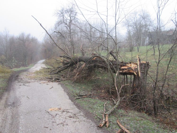 Ураган изкорени вековни дървета, отвя покриви на къщи в Балкана