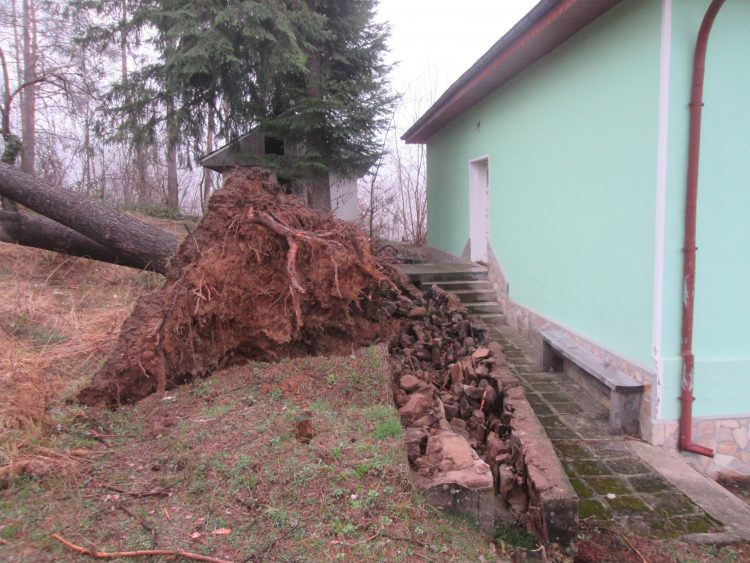 Ураган изкорени вековни дървета, отвя покриви на къщи в Балкана