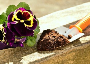 Община Севлиево стартира инициативата “Нека бъде цветно!”