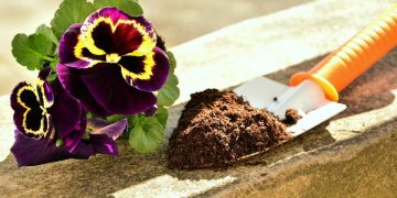 Община Севлиево стартира инициативата “Нека бъде цветно!”