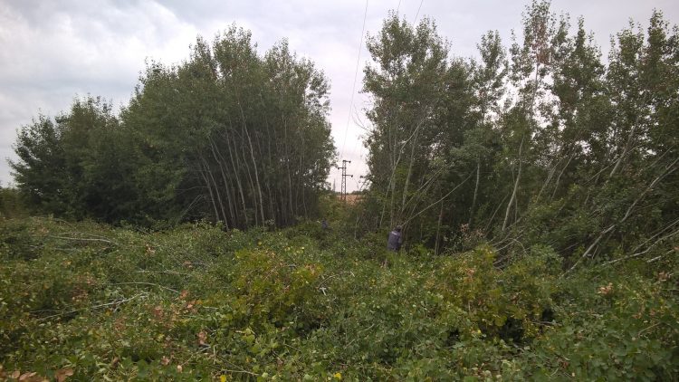 Илия Илиев: “Напук на скептиците, вода от “Дълбоки” ще потече”