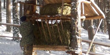 Заради снега – започва ударно подхранване на дивеча