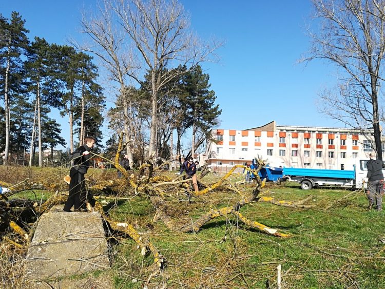 Кампанията “Нека бъде цветно!” – успешна