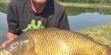 Горнооряховец улови 14-килограмов шаран край Севлиево