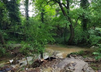 Д-р Иванов: „Има щети по пътищата от пороя, но няма бедстващи хора“