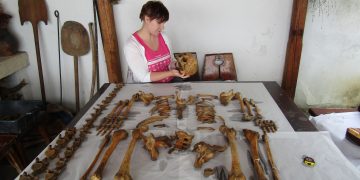 Емили от Англия сглобява скелети от Хоталич