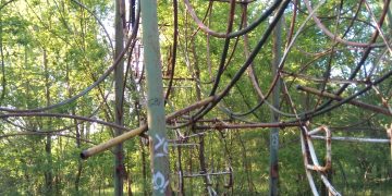 Опасно виенско колело тъне в забвение и храсталаци в парк “Черничките”