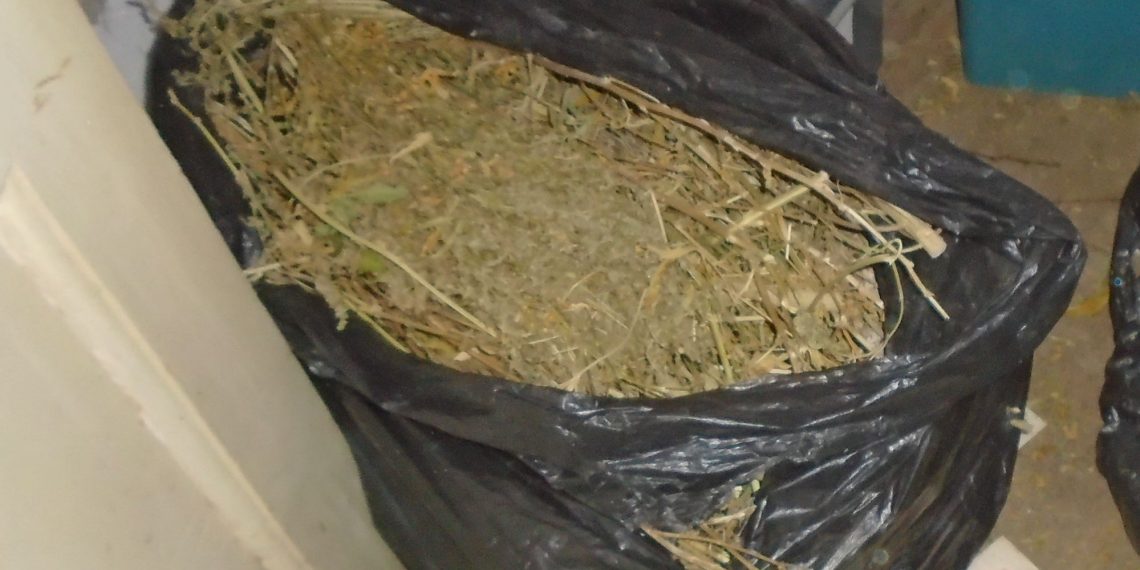 42-годишен отглеждал марихуана, иззеха килограм дрога от дома му