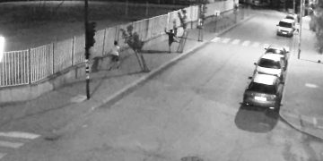 Момчета изпочупиха млади дръвчета