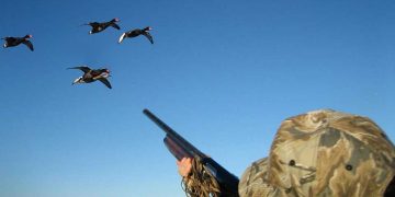 Утре откриват лова на прелетен дивеч