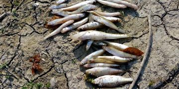 Водата на язовира – с добро състояние на повърхностните води