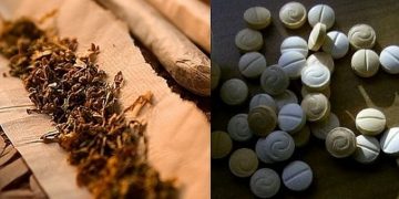 Марихуана и амфетамини иззеха от дома на севлиевец