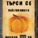 1000 лв. награда за най-голяма тиква дава Община Севлиево