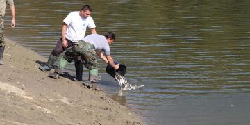 Хиляди малки рибки заплуваха в язовира в Деня на Севлиево