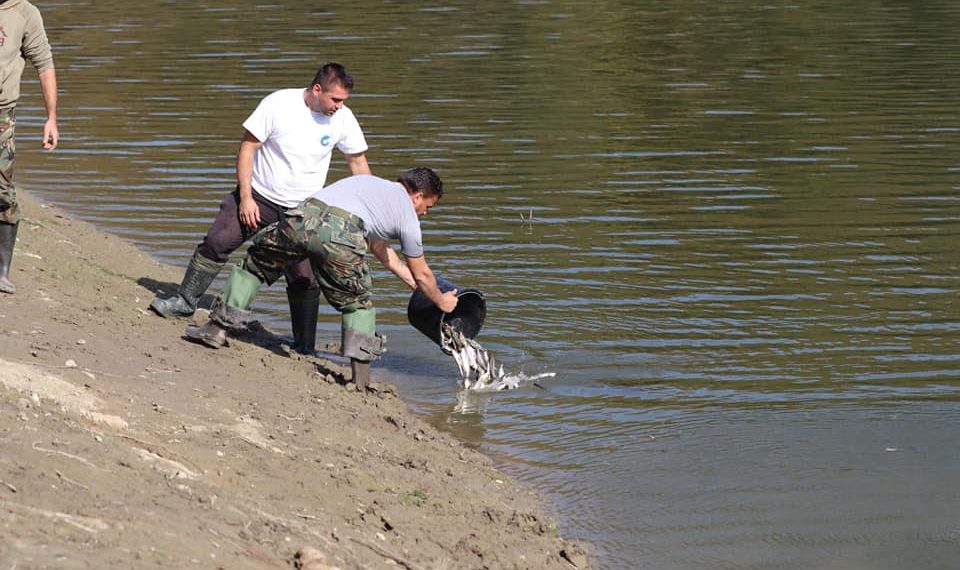 Хиляди малки рибки заплуваха в язовира в Деня на Севлиево