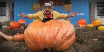 УТИ БЪЧВАРОВ ПОКАЗВА КРАСОТАТА НА ПРАЗНИКА НА ТИКВАТА И НА СЕВЛИЕВСКИЯ КРАЙ ВЪВ „ВКУСНАТА БЪЛГАРИЯ“