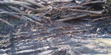 Пътят от с. Енев рът към махала Каракаши вече е непроходим