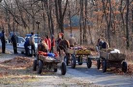 36 акта съставиха за седмица горските, конфискуваха МПС и две каруци
