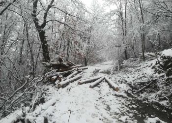 Още седем дни за възстановяване на щетите по пътя от с. Енев рът към мах. Каракаши