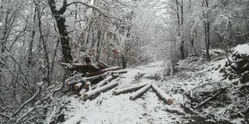 Още седем дни за възстановяване на щетите по пътя от с. Енев рът към мах. Каракаши