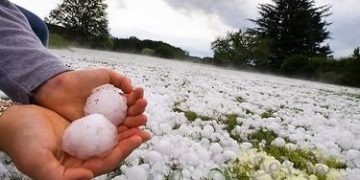 От 18 март приемат заявления за застраховане на селскостопанска продукция