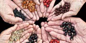 Севлиево става дом на семената на 20 април