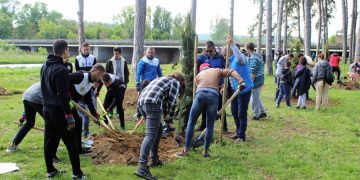 Нови 85 дървета в града, благодарение на „Идеал Стандарт-Видима“ и Община Севлиево