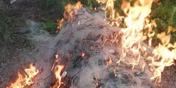 Унищожиха 500 м бракониерска мрежа