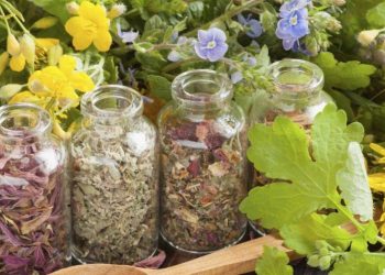 Пресъздават магията на Еньовден в Дандолови къщи