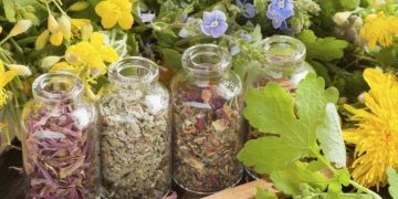 Пресъздават магията на Еньовден в Дандолови къщи