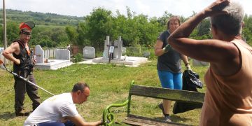 Чудесата се случват когато сме заеднo