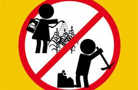 МОТ: “Децата не трябва да работят на полето, а за мечтите си”