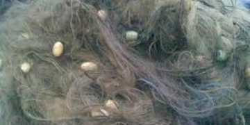 Рибари издадоха бракониери