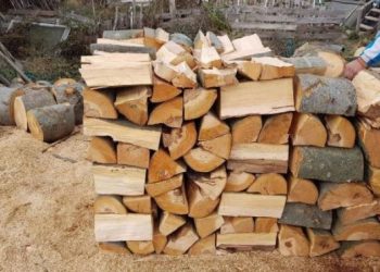 Над 4000 домакинства в обхвата на СЦДП вече са снабдени с дърва за огрев