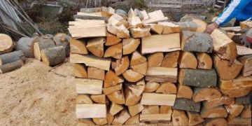 Над 4000 домакинства в обхвата на СЦДП вече са снабдени с дърва за огрев