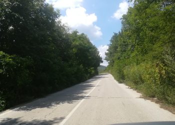 Няма ли кой да види, че канавките и крайпътните участъци по републиканските пътища към селата тънат в бурени?