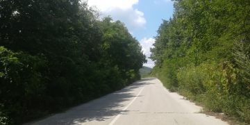 Няма ли кой да види, че канавките и крайпътните участъци по републиканските пътища към селата тънат в бурени?