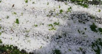 Започна приемът на документи за компенсации от природни бедствия