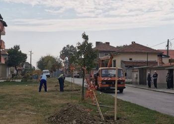Топлото време позволи засаждане на още 20 нови дървета в Севлиево