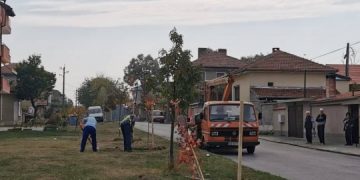 Топлото време позволи засаждане на още 20 нови дървета в Севлиево