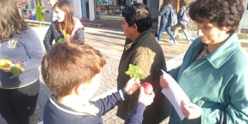 Деца раздаваха ябълки на Международния ден на вкусния плод