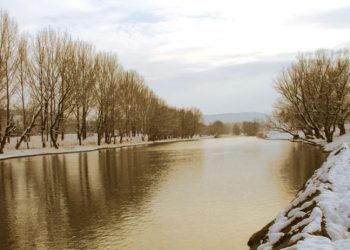 Провериха сигнал за умряла риба в р. Росица