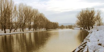 Провериха сигнал за умряла риба в р. Росица