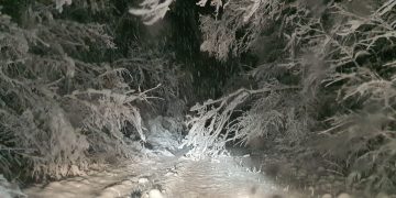 Наглост! Фалшив сигнал за бедстващо семейство с дете край яз. ”Ал. Стамболийски” подали на 112 подпийнали рибари