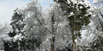 Бялата зима – мокър сняг, изпочупени клони, села без ток, закъсали снегорини